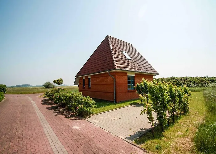 Rieke * Friedrichskoog-Spitz